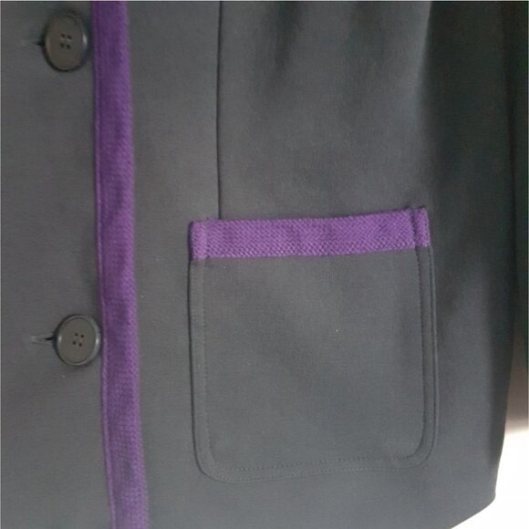 Lacoste Blazer Jacket Fitted Blue Lined Purple Preppy Career Size 40 SIze 8 - Picture 8 of 13